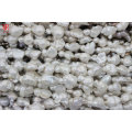 20-25mm Large Baroque Perles Strand